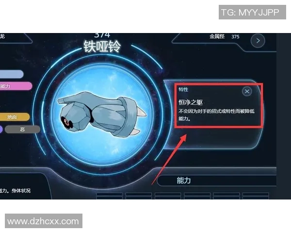 坚果哑铃的独特特性与个性分析探讨